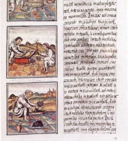 Una página del Códice Florentino. Este códice, escrito en náhuatl y español, es el documento original de la Historia general...