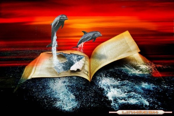 delfines_y_el_libro.jpg