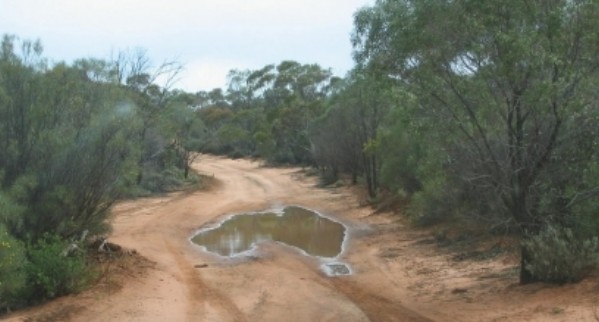 australia charco.bmp