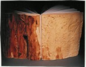 wood_book_026.jpg