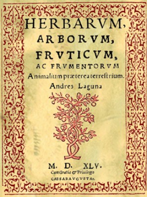 Herbarum, arborum, fruticum 1545.gif