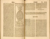 Coronica de las Indias de Gonzalo Frenández de Oviedo - Juan de Junta - Salamanca 1547.jpg
