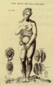 Historia de la composición del cuerpo humano - Antonio Salamanca y Antonio Lafreri - Roma 1556.jpg