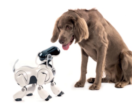 aibo-sony-perro-robot.gif